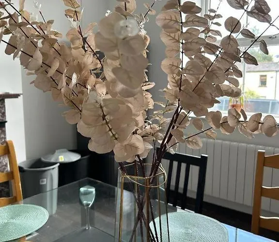 Penzion Sarsfield Dublin