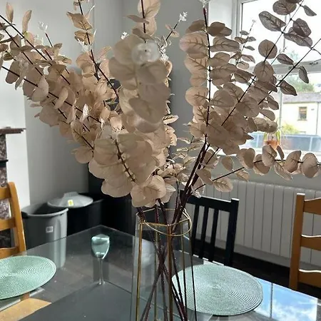 Gasthof Sarsfield Dublin